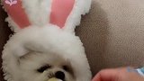 我的小可爱，早安。