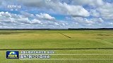 【新思想引领新征程】保护好黑土地 筑牢国家粮食安全根基