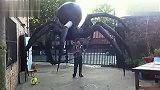 美国平民制作的巨大空气动力驱动的蜘蛛玩偶