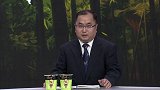 赛前点评乾贵士：身体强壮球风硬朗 不适应新位置导致表现欠佳