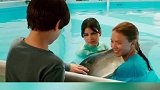 小男孩救小海豚的故事，超感人