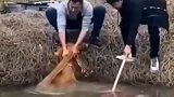 友谊得到了升华