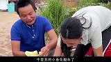 牛爱芳的小春花彻底翻车！旧视频剧本被扒，一家人都是演员
