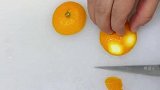 橙子秒变艺术品
