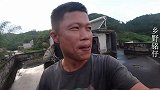小伙外出鸽子忘了关，回来后发现鸽子被咬成这样，实在太可恶了！