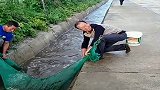 村长和儿子来水渠捕鱼，看到有大货进网，难掩内心的喜悦！