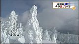 旅游焦点-20120130-神奇冰树景观引人眼球
