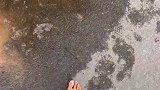 家人们，你们谁知道这电动车怎么骑上去的？