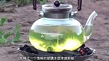 汽油加热后，会发生怎样的变化？老外作死实验，结果场面超震撼