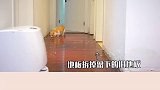 我只不过换个地板，我家猫疯了 当小猫咪撞脸兔子