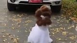你们说小可爱今天美不美