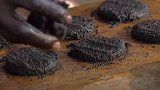 非洲的黑暗料理，数十万只“蚊子”做成的大饼，你敢吃吗？