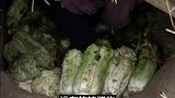 哈尔滨连环女屠夫大案  (四)  真实案件