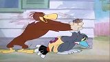 猫和老鼠：月老杰瑞，把汤姆介绍给秃鹫，成了秃鹫的妻子！