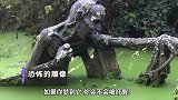 5个不要一个人去的地方，沼泽旁总有人失足，难道是雕像搞的鬼