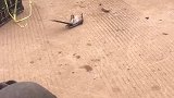 这演技能写进教科书