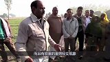 印度厕所都是露天的，当地女性如何保护隐私？看完让人心疼
