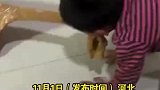 小朋友用衣服和边牧“拔河”，你俩真会玩