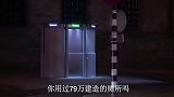 为什么荷兰要花费79万建个厕所？一到白天就钻到地下，长见识了