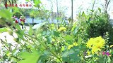 来福假装受伤套路小伙伴的零食，结果被甜甜一招拆穿，太机智了