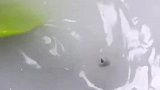单身男同胞可以详细了解一下做法