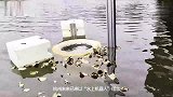 杭州“黑科技”自动吸附水面漂浮垃圾油污藻类