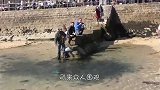 游客在海上玩耍，却被奇怪黑影包围，定睛一看慌忙逃窜！