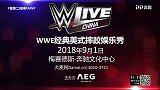 WWE-18年-RAW第1317期：单打赛 二线双人组VS复兴者-单场