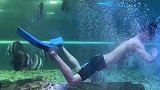 男子在水族馆游泳，被海龟咬到后疯狂追打