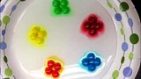 科学实验：给彩色巧克力豆加点水，看看会有什么变化