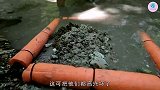 小哥森林中寻找化石，却发现价值几十万的巨齿鲨牙齿，发财了