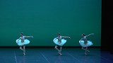 《追梦——中央芭蕾舞团2023演员年度考核》精彩上演