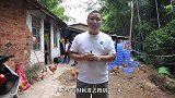 竹虫在80、90的伙伴小时候比较常见吧，现在呢？