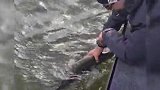 谁不夸一句人美心善？伊布外出垂钓 捕获大鱼后放生