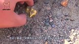 男子捡到一颗怪异石头，越看越不对劲，专家鉴定脸色大变