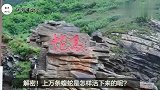 解密，大连蛇岛真的只有蛇，它又是怎样活下来的呢