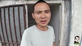 家里鸽子刚破壳阿飞就过来要鸽子了，这么小他能养得活吗？