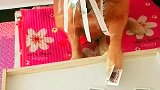 金毛：你们太过分了，欺负我一个！
