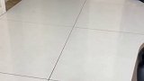 去天津参加婚礼了两天,一回来,崽胖子直接生气了。不理我了