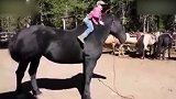 小男孩地上马方式！看着超级炫酷啊！这是天生的驯马师啊！