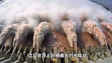 为什么说三峡大坝历史使命完成，拆除只是时间问题？专家告诉你！