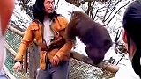 跟猴子干起来了，大哥真是个狠人