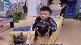 妹妹本想打哥哥一下，结果却被哥哥恶搞，下一幕太可怜了！
