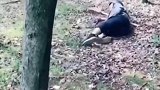 来将可留姓名