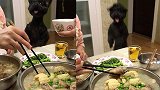 重庆：快给我！闻到最爱的猪蹄味，狗狗反应笑翻众人