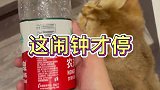 我妈真是我懒床路上的绊脚石
