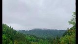 一女子住在深山老屋，养羊喂猪自耕自种，今天雨很大看她吃什么
