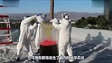 将肥皂放入这种溶液中，你家就会被泡沫填满神奇实验太壮观了