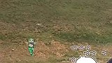 青蛙人偶轻功了得，玩滑翔伞精准落地