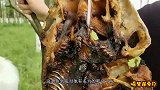 萌宠吃货：小狗狗吃咸鱼，这玩意有点硬，龇牙撕成丝细细品
